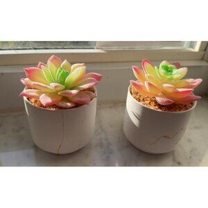New Succulents Plants Artificial, Mini Fake Succulents in White Ceramic Pots